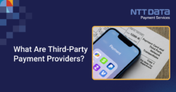 third-party payment provider