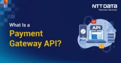 What is a Payment Gateway API?